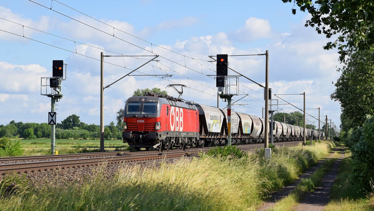 ÖBB 1293 191 mit TRANSCEREALES-Silowagen in Richtung Osnabrück (Hüde, 19.06.2021).ä
