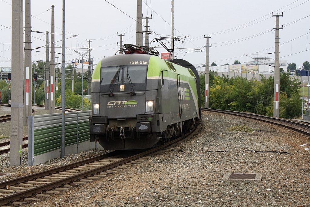 BB-CAT 1016 036-6 als CAT 9044 am 29.September 2013 kurz vor dem Bf. Schwechat.