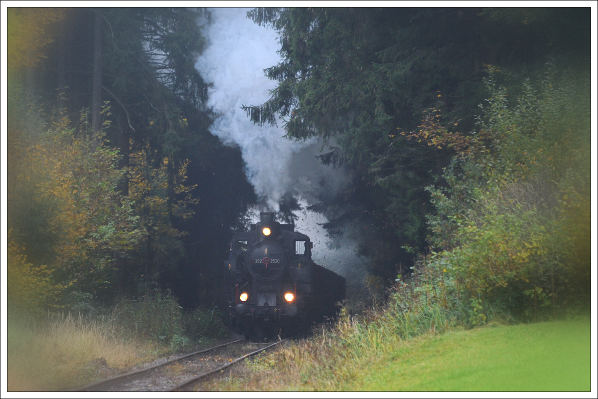 ÖGEG 392.2530 (ex WTK 4) auf der hauseigenen Strecke zwischen Timelkam und Ampflwang am 20.10.2019 kurz vor dem Ziel Ampflwang aufgenommen. 