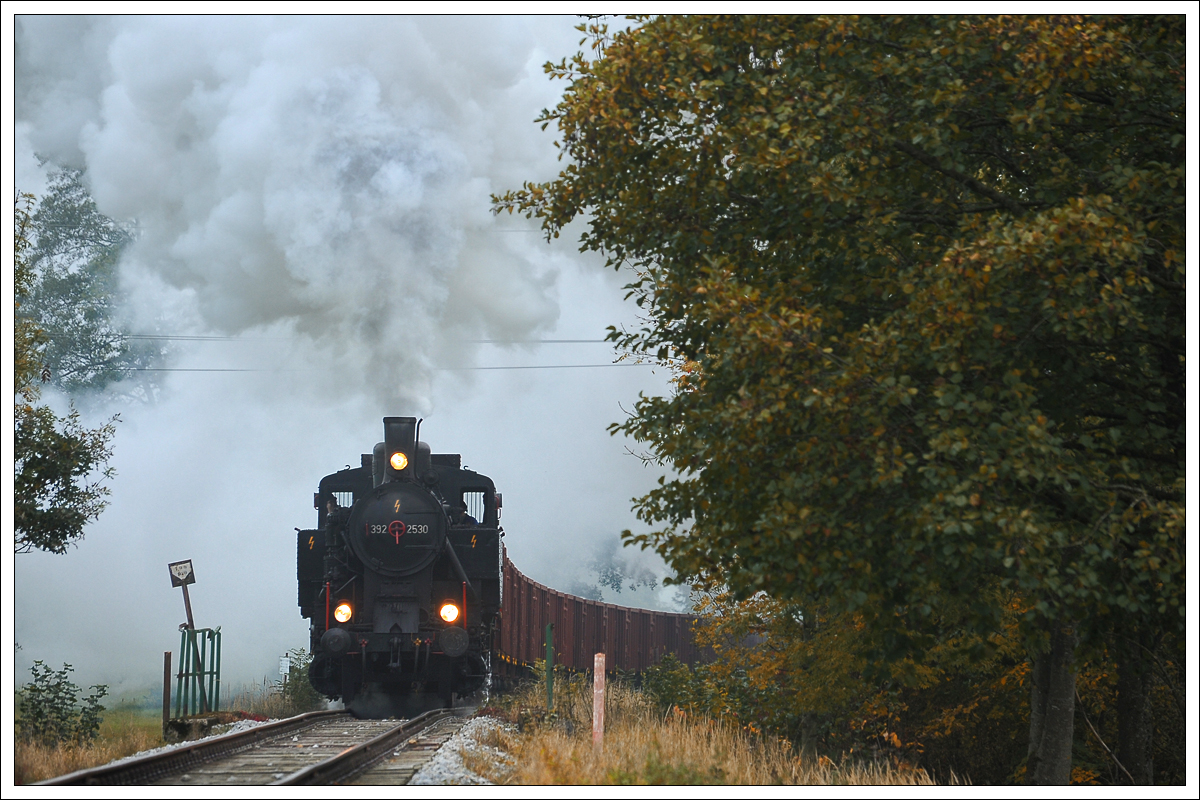 ÖGEG 392.2530 (ex WTK 4) auf der hauseigenen Strecke zwischen Timelkam und Ampflwang am 20.10.2019 bei der Kläranlage Ampflwang aufgenommen.