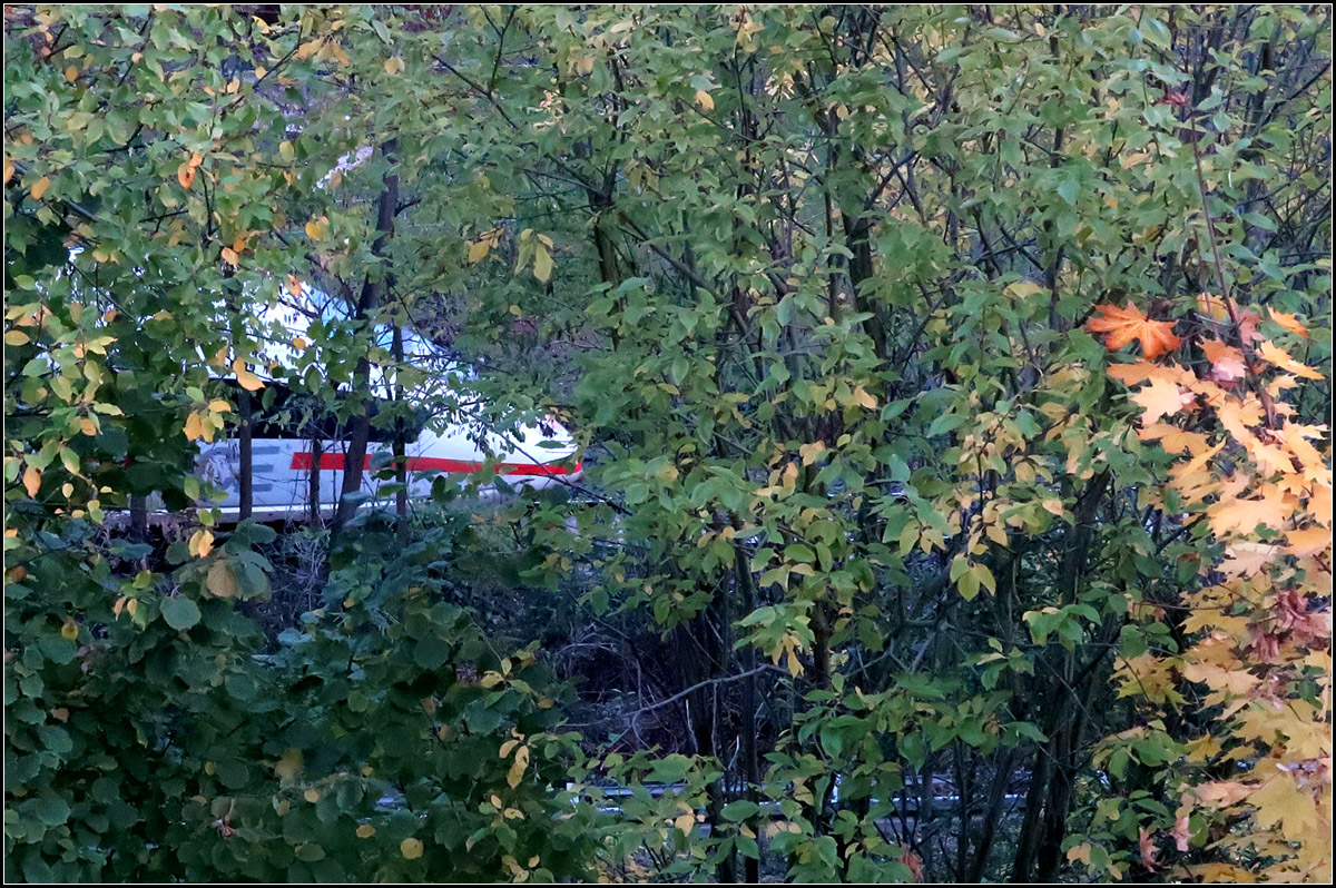 Ohne Tarnung durchs Unterholz schleichend -

Gestörter Ausblick aus unserer Wohnung auf die Remsbahn. Derzeit ist der Durchblick besser...

31.10.2018 (M)