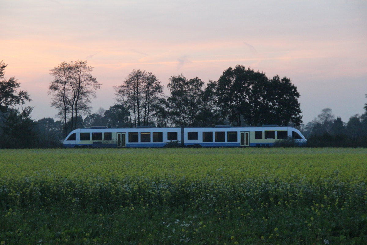 OLA auf Abwegen... 648 299 als RB45 der NordWest-Bahn auf der Fahrt durch das herbstliche Münsterland nach Coesfeld 