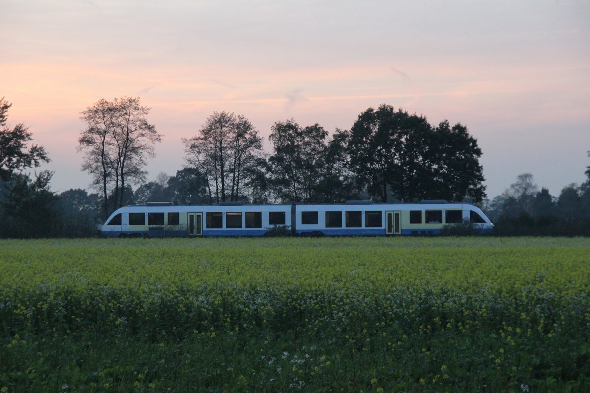 OLA auf Abwegen... 648 299 als RB45 der NordWest-Bahn auf der Fahrt durch das herbstliche Münsterland nach Coesfeld 