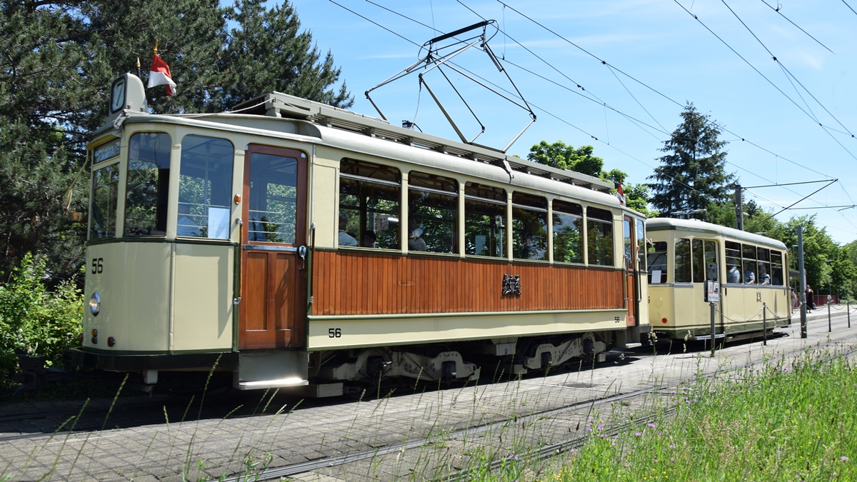 Oldtimer Tram Nr. 56 und seinen historischen Beiwagen Nr. 135 fahren über die Brücke. Die Aufnahme wurde am 01.06.2019 entstanden.