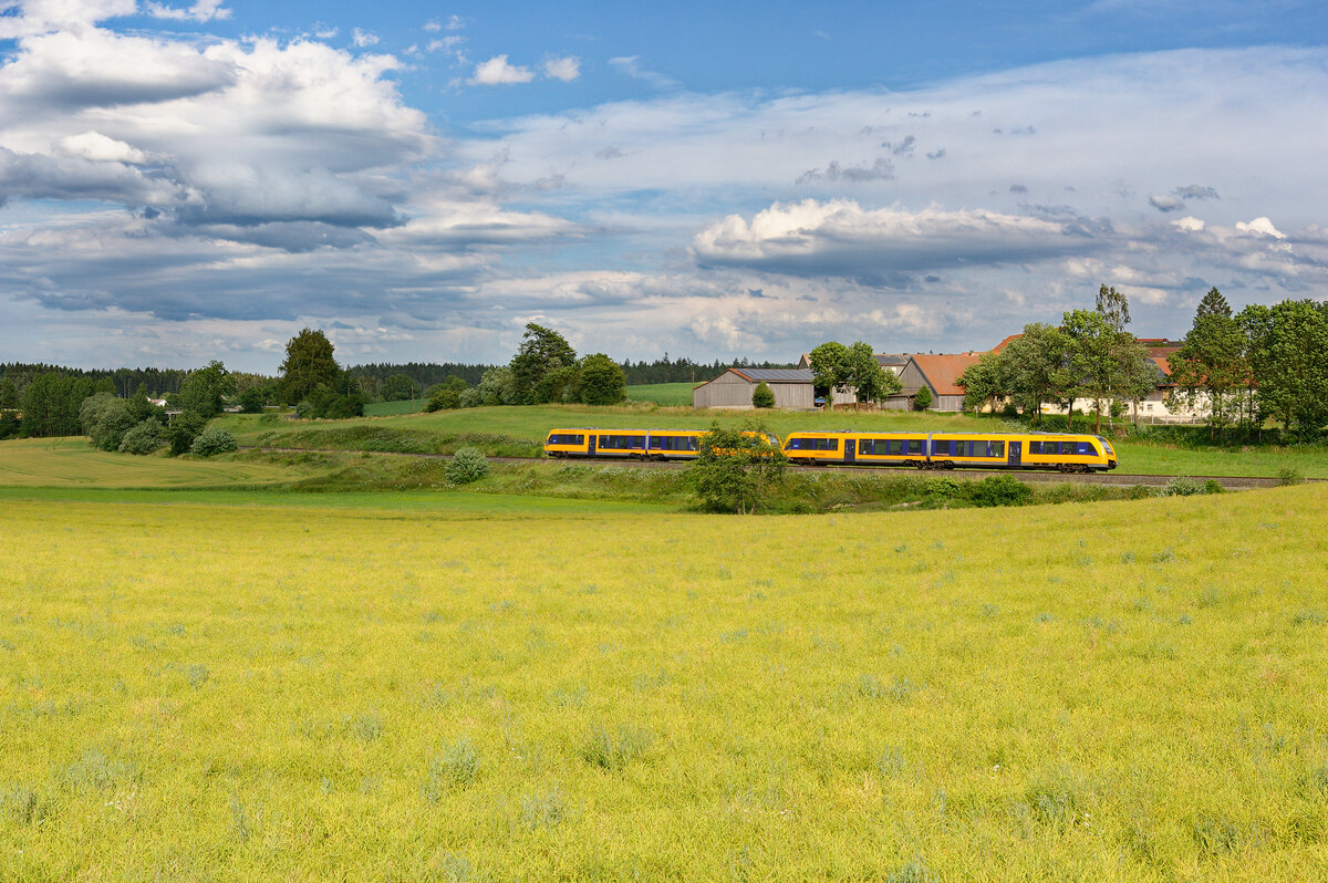 OPB 1 79732 (Regensburg Hbf - Marktredwitz) bei Eschldorf, 10.07.2020