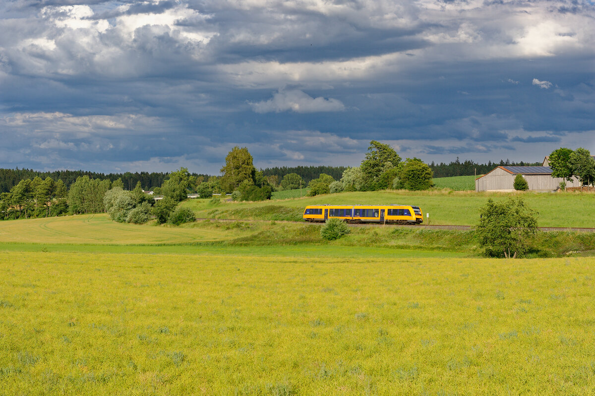 OPB 1 79739 (Marktredwitz - Regensburg Hbf) bei Eschldorf, 10.07.2020