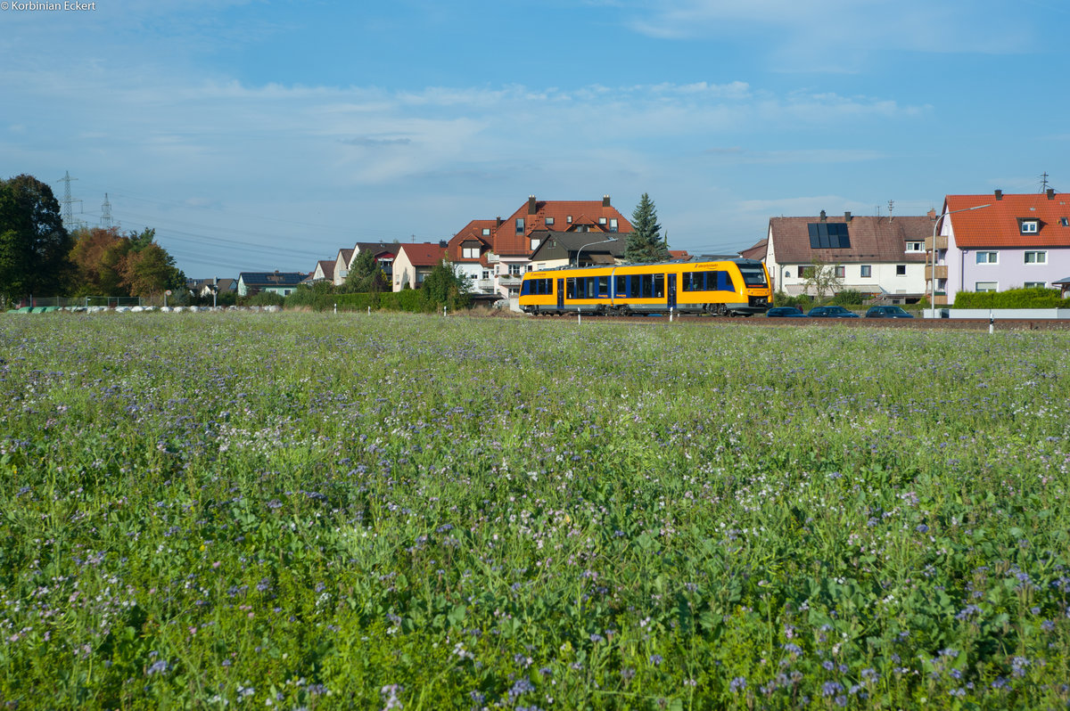 OPB 79734 von Regensburg nach Marktredwitz bei Rothenstadt, 25.09.2016