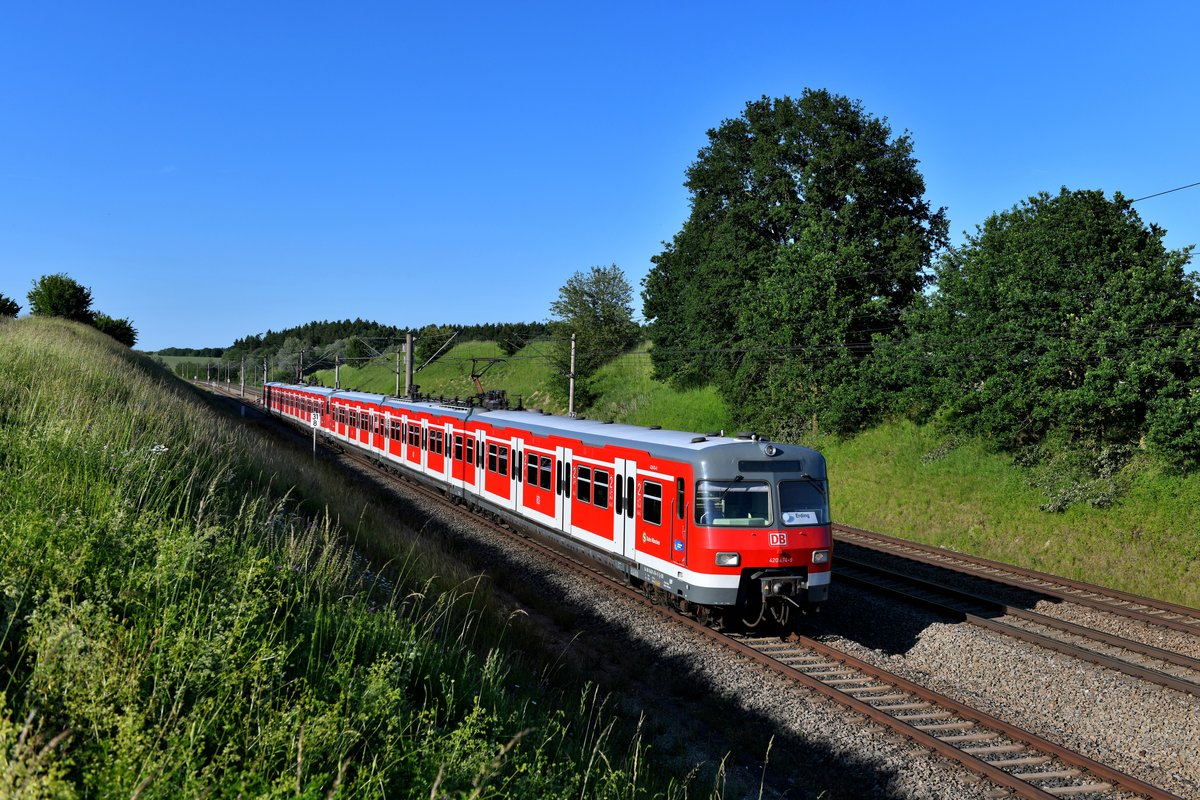 Optisch wie aus dem Ei gepellt zeigten sich am 08. Juni 2019 der 420 474 und ein weiterer Triebzug der Baureihe bei Vierkirchen im Dachauer Hinterland. 