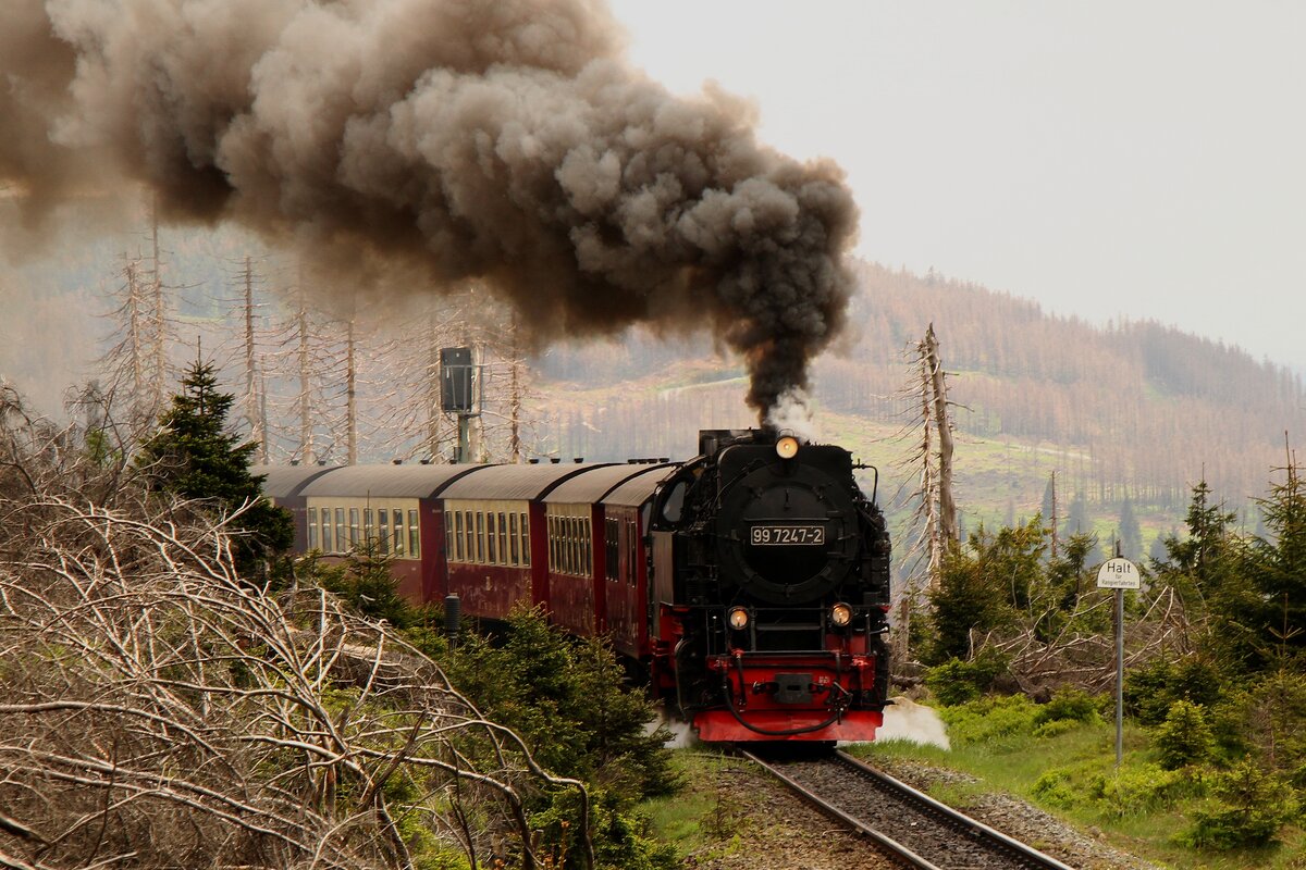 Ordentlich arbeiten muss 99 7247 beim Anstieg auf den Brocken. 21.05.2022