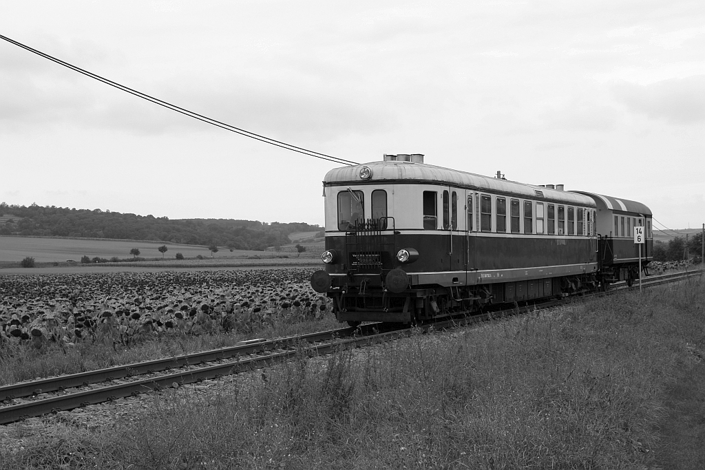 OSEK 5042.14 am 06.September 2020 als NF 14814 bei Groß Schweinbarth Richtung Bad Pirawarth.