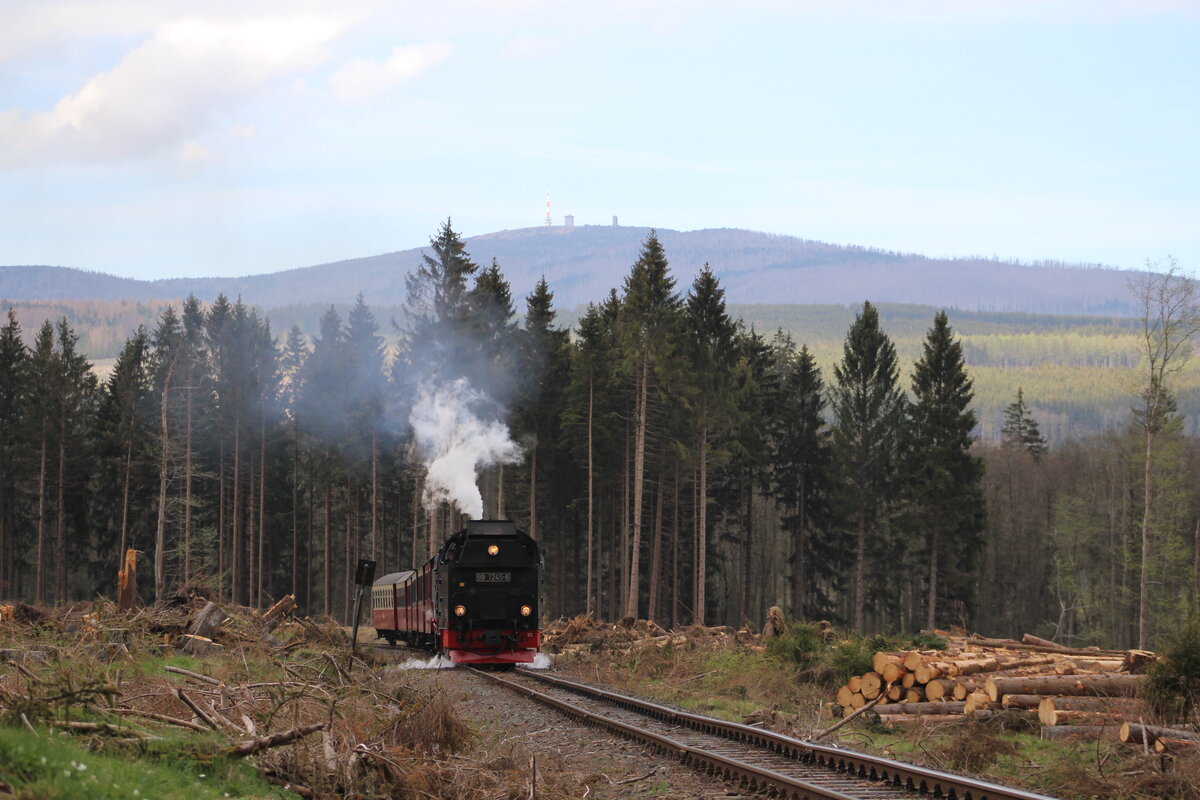 P 8903 (Drei Annen Hohne - Eisfelder Talmühle) zwischen Elend und Sorge. Das Waldsterben im Harz ermöglicht neue Fotoperspektiven, der Brocken zeigt sich nun vielerorts. (05.05.2022)