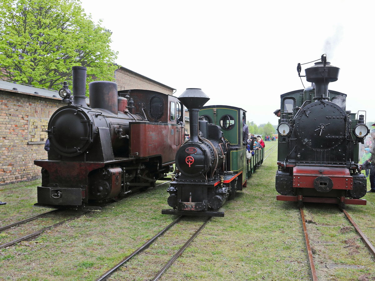 Parallelfahrt auf drei Spurweiten beim 2. Märkischen Feldbahnfest am 13.05.2017 im Ziegeleipark Mildenberg.
Links die „LoWa“ des Ziegeleiparks Mildenberg auf 630 mm, daneben die Krauss-Lokomotive aus Nürnberg auf 500 mm und rechts die No. 54 I K auf 750 mm.
