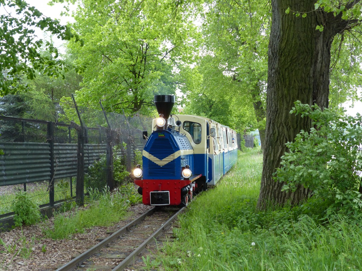 Parkeisenbahn Maltanka auf einem waldigen Abschnitt. Der Park ist sehr sportlich ausgerichtet, der nahe See mit Wassersportanlagen versehen, viele Radfahrer sind unterwegs. 4.5.2014, Poznan