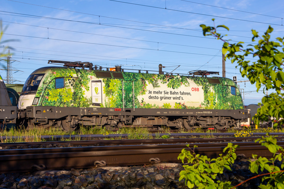 Passend zum Motto der 1016 023-4. Wolfurt 9.5.19