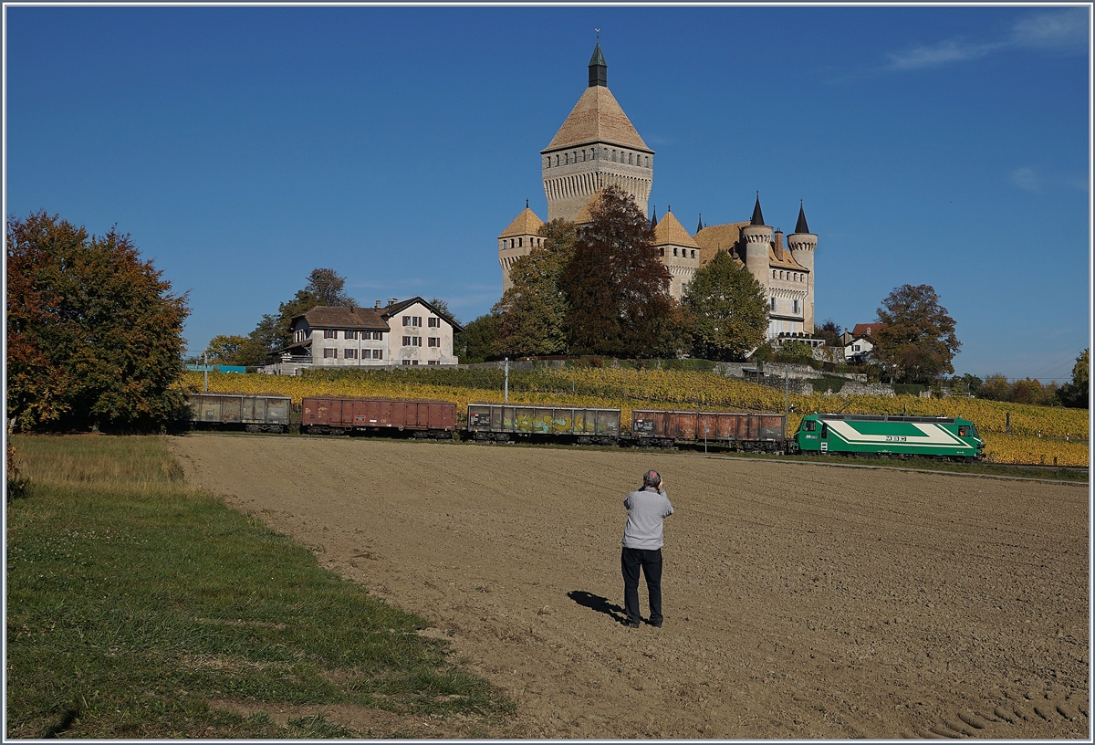 Peter beim Anfertigen seiner wunderschönen Kunstwerke. BAM MCB Zuckerrübenzug mit der Ge 4/4 22 beim Château de Vufflens auf der Fahrt Richtung Morges,
17. Oktober 2017