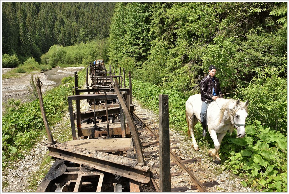 Pferde dienen im unwegsamen Wassertal neben der Bahn immer noch als Fortbewegungsmittel. Foto vom Reiter bewilligt. (12.06.2017)
