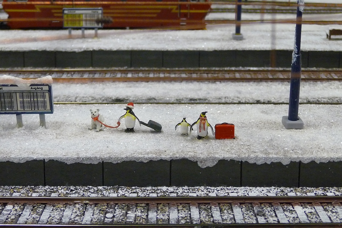 Pinguine warten auf den nächsten Zug zum Südpol im MiWuLa Hamburg, 8.9.15