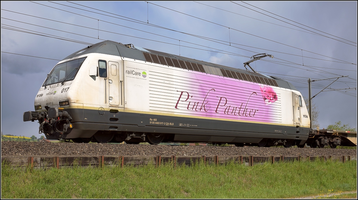 Pink Panther Re 465 017-2 der BLS legt einen Zwischenstop vor Hendschiken wegen hohen Verkehrsaufkommen ein. Da muss natrlich ein Photoshooting folgen... April 2017. 