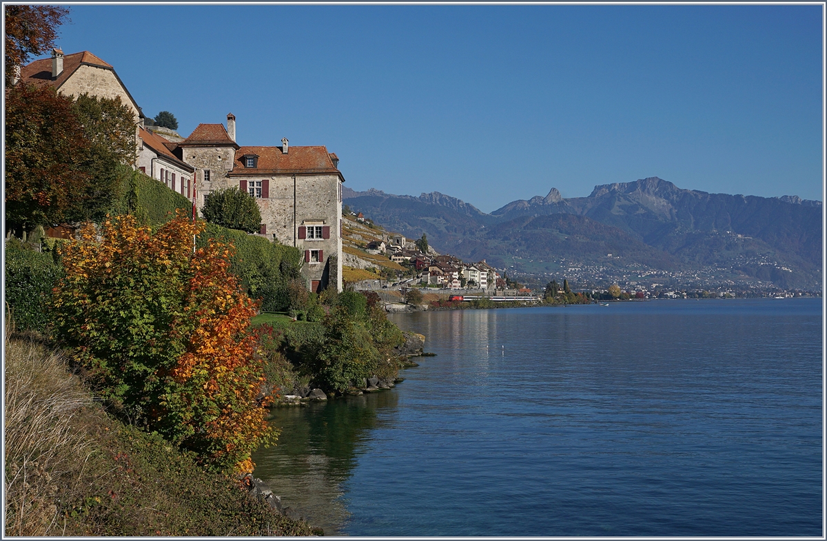 Pixelreicher Oktober - Bild 2: Die bunten Farben des Herbsts einzufangen ist gar nicht so einfach, wie ein Blick in die Landschaft vermuten lässt; bei diesem Bild wurde die Hauptrolle zugewiesen und dem Zug, eim IR Genève - Brig mit einer Re 460 nur eine kleine Nebenrolle.
Bei Rivaz, mit Blick Richtung St-Saphorin am 16. Okt. 2017