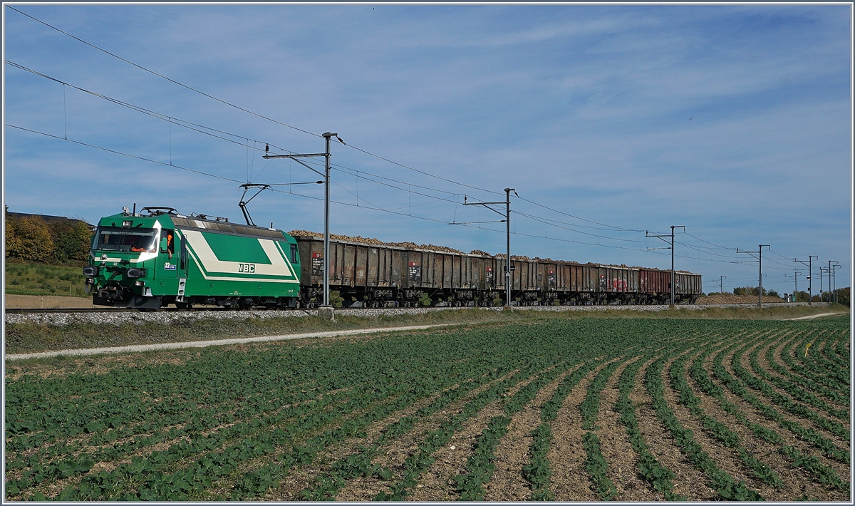 Pixelreicher Oktober, Bild 3: Zum letzten Mal findet auf der BAM der Zuckerrübenverlad und -Transport statt, bei dem gute Wetter und der angenehmen Begleitung war es eine Freude, das Ereignis nochmals einzufangen. Das Bild zeigt die Ge 4/4 22 mit einem vollen Rübenzug  bei Reverolle auf der Fahrt Richtung Morges.
17. Okt. 2017