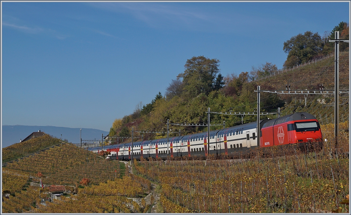 Pixelreicher Oktober - Bild 6: Ein wunderschöner Oktober geht zu Ende, die Blätter verlieren langsam ihre Farbe, der Wind weht sie von den Bäumen und Sträucher, was bleibt sind bunte und eine Menge Bilder die noch zu bearbeiten sind, aber auch die Freude auf die kommende Zeit, die auf ihre Art ihre Reize hat, die es einzufangen gilt. 
Die SBB Re 460 113-4 fährt mit ihrem IC zwischen Grandvaux und Bossière durchs Lavaux, vorbei an schon recht blattlosen Rebstöcken Richtung Genève.
26. Okt. 2017