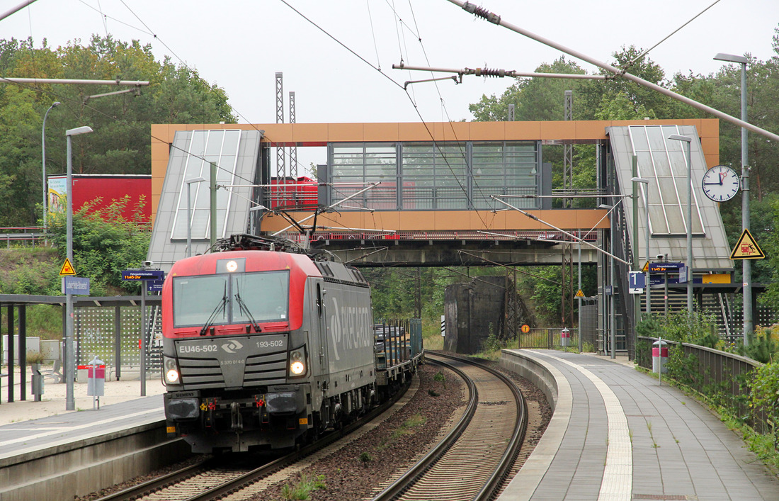 PKP Cargo EU 46-502 // Ludwigsfelde-Struveshof // 24. September 2019
