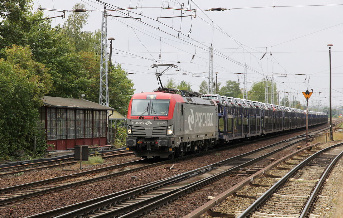 PKP Cargo EU46-503 // Berlin-Hirschgarten // 25. August 2018