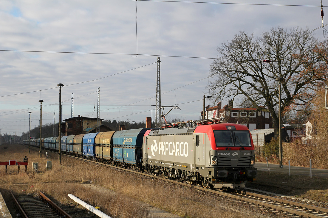 PKP Cargo EU46-503 // Königs Wusterhausen // 22. März 2016