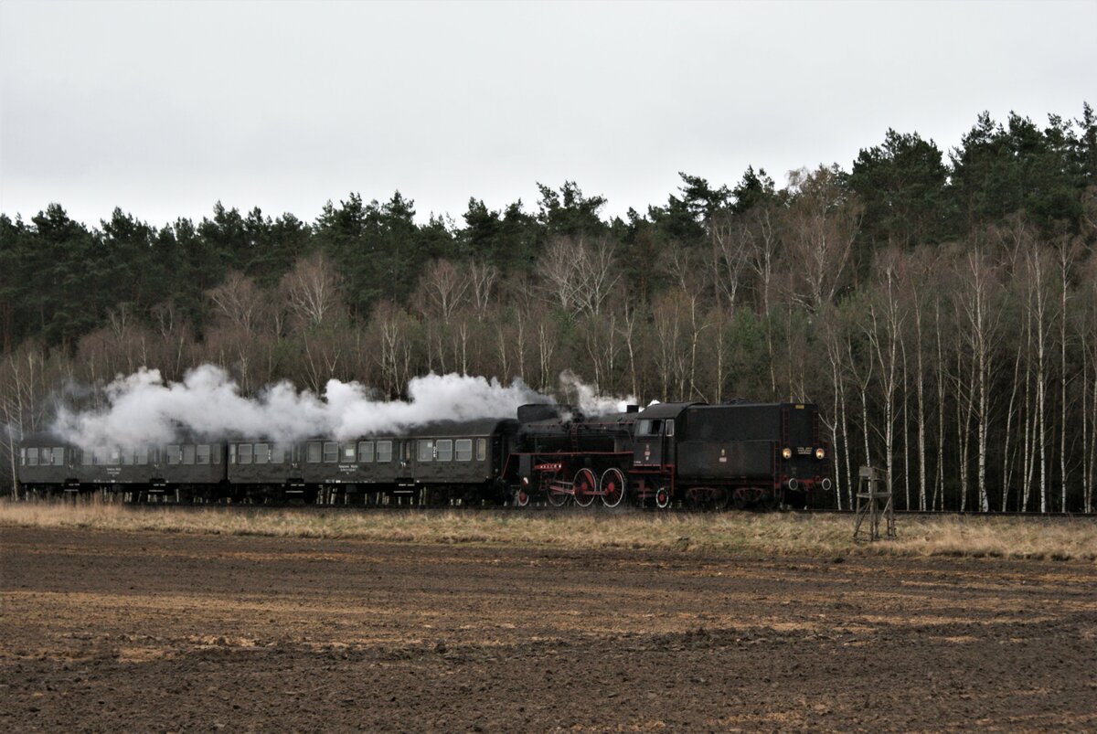 Polen Parowozownia Wolsztyn Strecke 328 Leszno-Wolsztyn-Zbąsyznek: Ol49-69 + B11p 343-3 + B11p 042-1, Zug 77505 Leszno-Wolsztyn, zwischen Krzycko Wielkie und Włoszakowice, 5. April 2022.