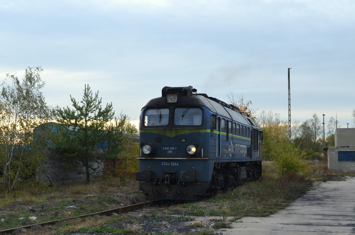 Polen: ST44-1244 / 630 218-7 PKPC PKP Cargo in Żagań 18.10.1019