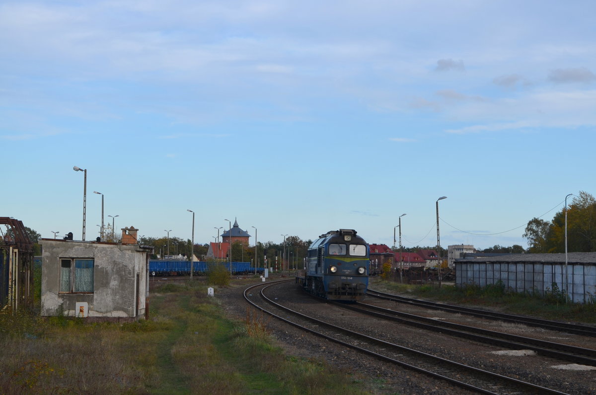 Polen: ST44-1248 / 630 219-5 PKPC PKP Cargo in Żagań 18.10.1019