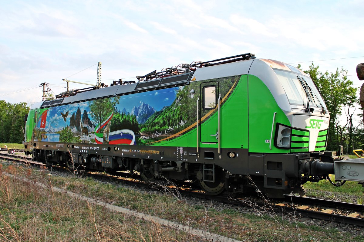Portrait von ELL/SETG 193 839  Alpen , als diese am 19.04.2020 im Güterbahnhof von Neuenburg (Baden) abgestellt stand und drauf wartete, dass ihr Holzzug fertig beladen wird und sie ihn nach Lenzing in Österreich zu bringen.