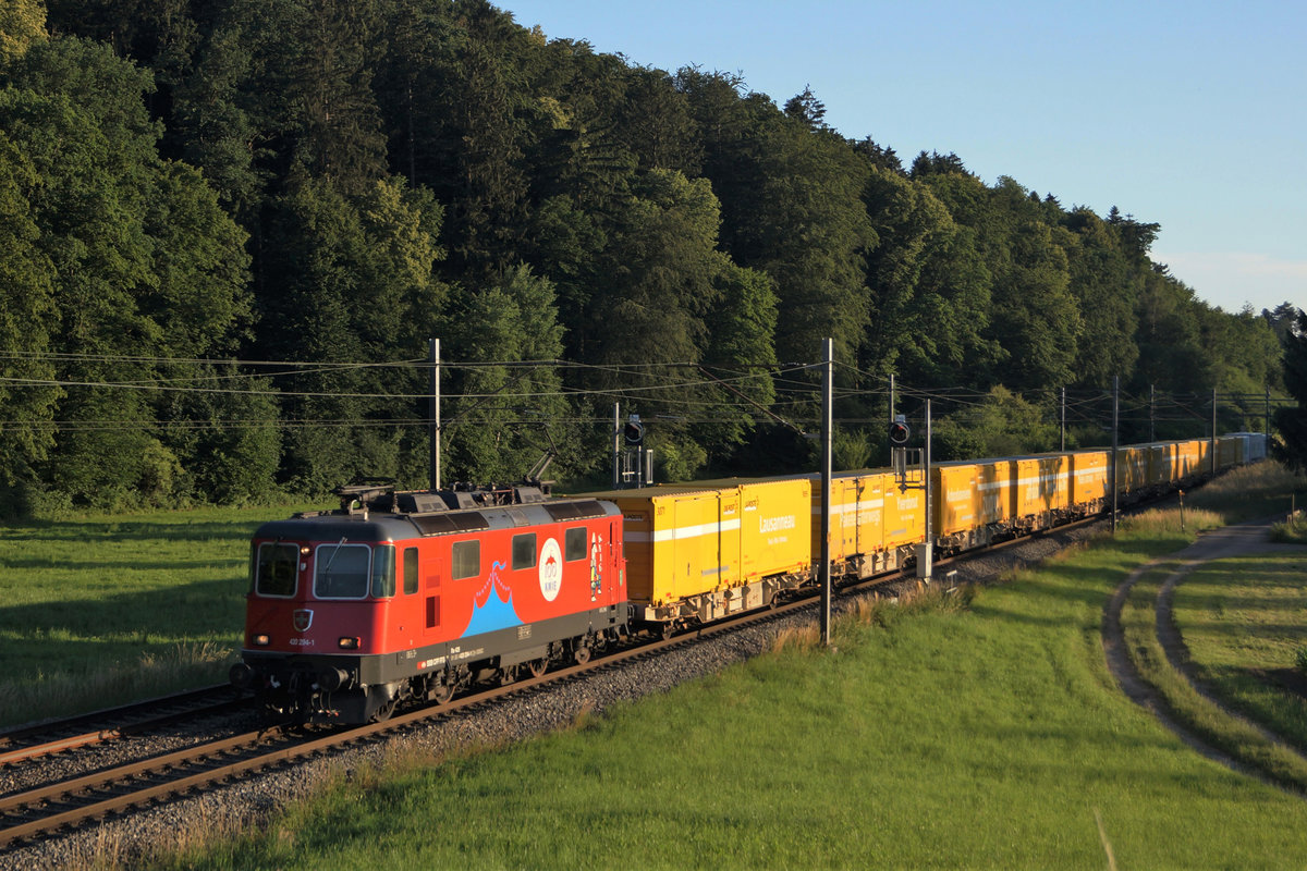 Postzüge im letzten Abendlicht.
Re 420 294-1  100 Jahre Circus Knie  bei Niederbipp auf der Fahrt nach Härkingen am 24. Juni 2020.
Foto: Walter Ruetsch