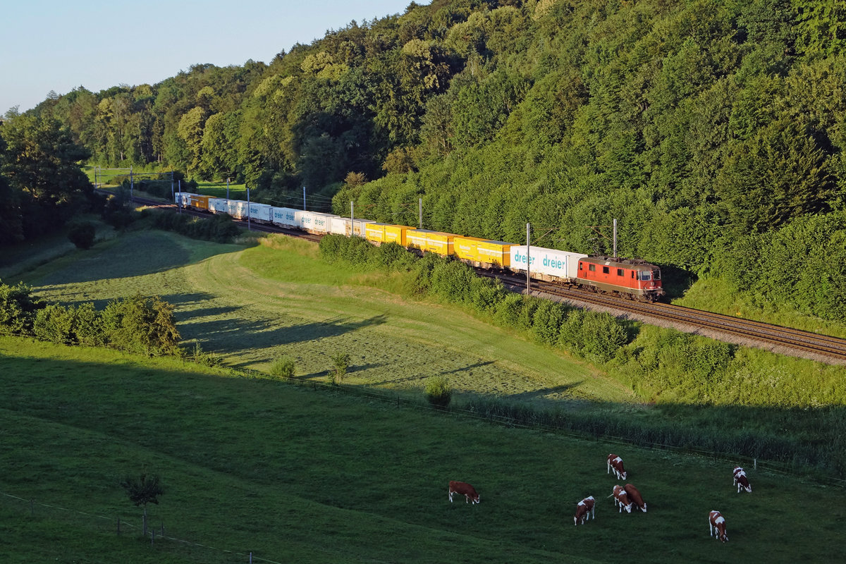 Postzüge im letzten Abendlicht.
Re 420 bei Niederbipp auf der Fahrt nach Daillens am 23. Juni 2020.
Foto: Walter Ruetsch