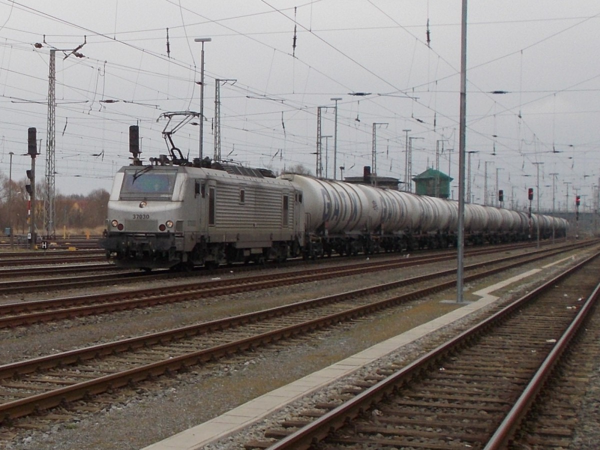 PRIMA 37030 mit einem Kesselzug aus Stendell fuhr,am 15.März 2015,über die Stralsunder Gütergleise in Richtung Rostock.