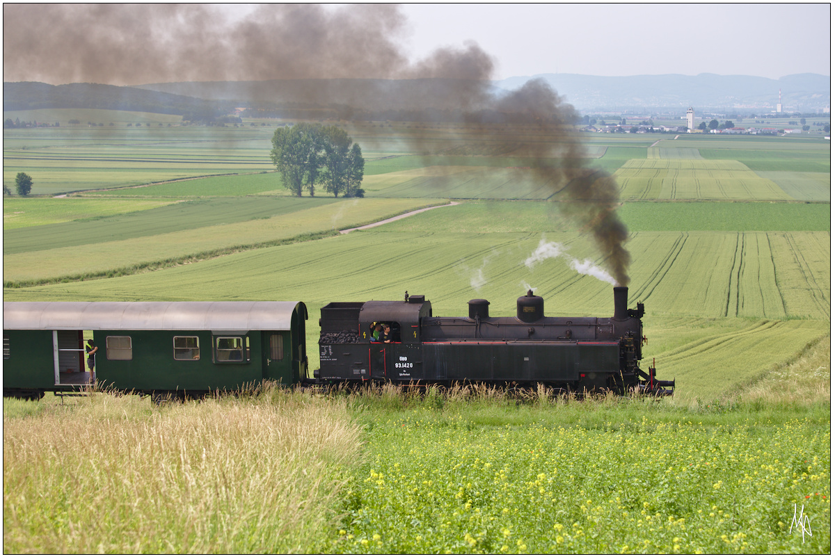 Profilaufnahme der 93.1420, die gerade mit ihrem Zug den Mollmannsdorfer Berg erklimmt. (11.06.2016)