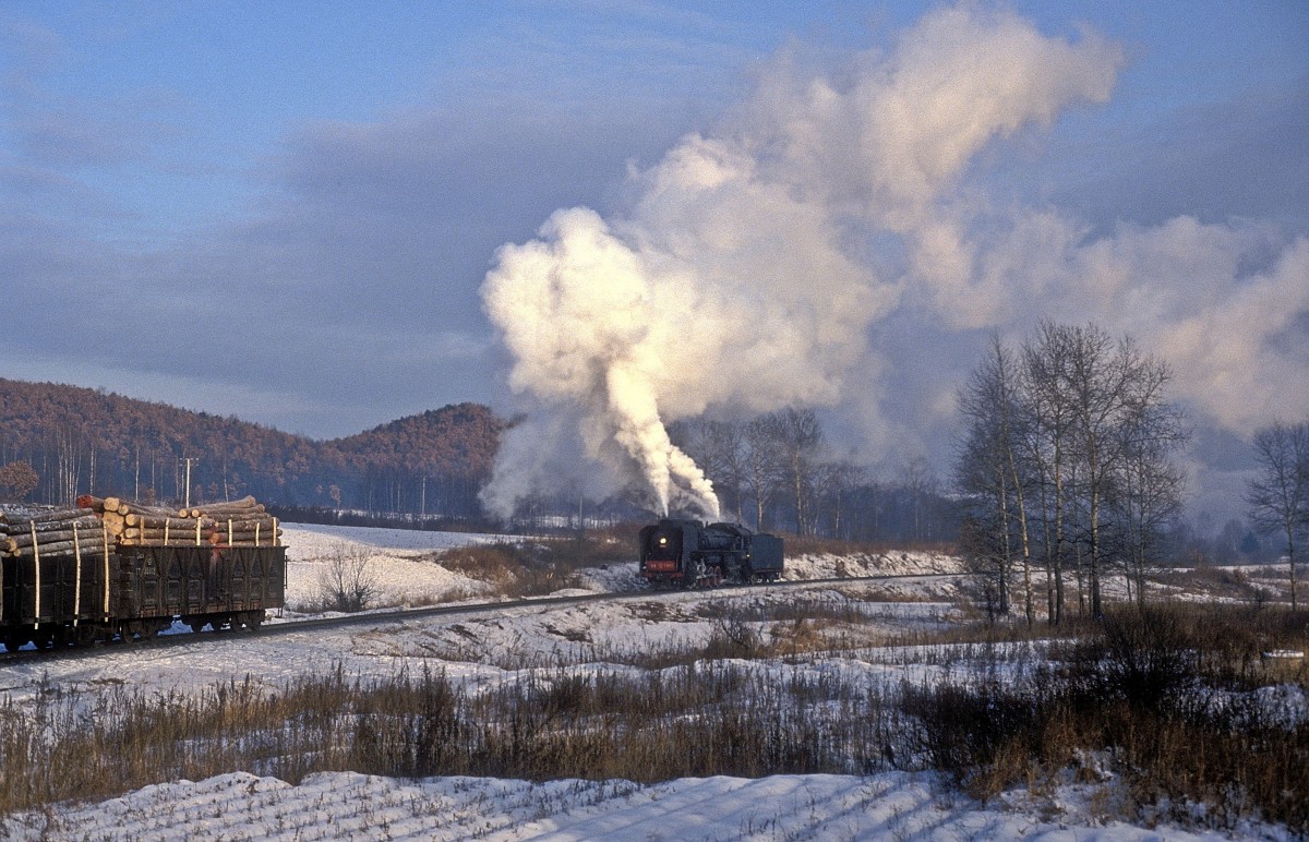 QJ 1987  bei Nancha  31.12.92