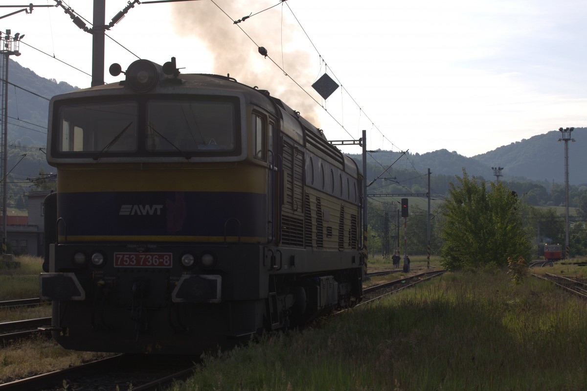 Qualmt hier 753 736 - 8 in Decin vychod ?  Nein natürlich nicht, die Taucherbrille genießt ihre Samstagsruhe,  475 III steht für die Sonderzugfahrt bereit.  23.05.2015 07:57 Uhr. Der Dampfsonderzug Macha fuhr in Decin vychod auf einem Randgleis des Güterbahnhofes ein, alle Aufnahmen sind mit dem Tele geschossen, so dass ein Betreten der Gleise, wie von vielen praktiziert, nicht nötig war.Das Aussteigen und Fotografieren war ausdrücklich erlaubt !