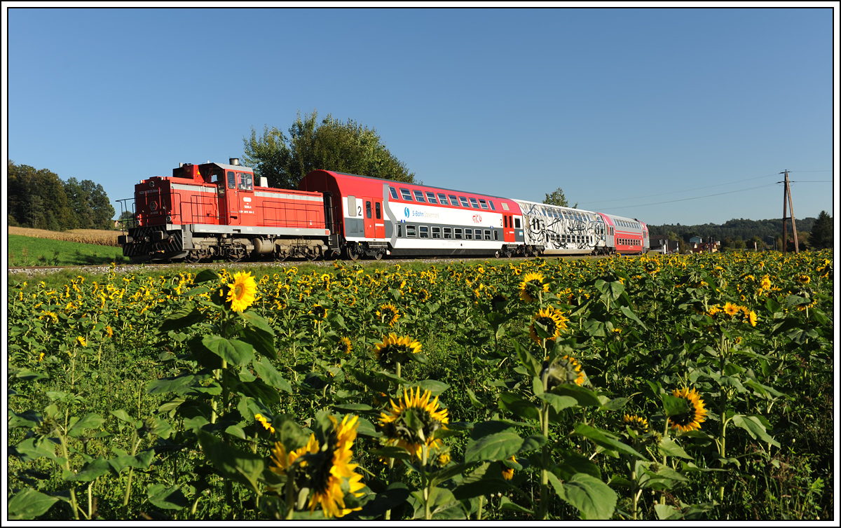 R 8567, am 23.9.2013 von 1500.4 geschoben, kurz vor der Haltestelle Oisnitz aufgenommen.
