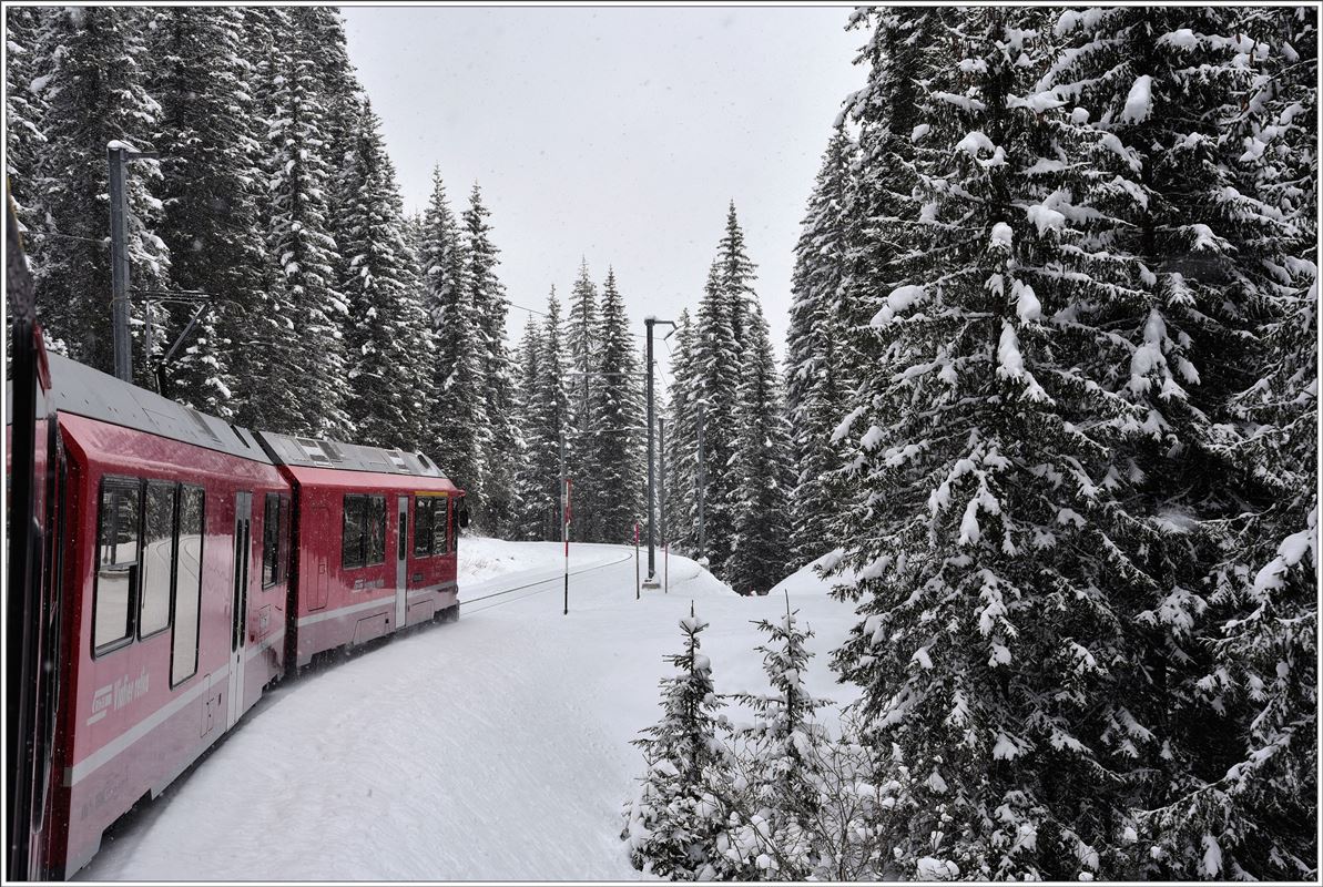 R1436 nach Chur ist unterwegs im winterlichen Wald unweit der Haspelgrube. (19.04.2017)