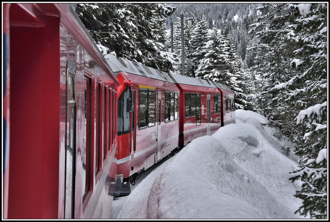 R1444 mit ABe 8/12 3505 im tiefverschneiten Wald zwischen Arosa und Litzirüti. (18.03.2019)