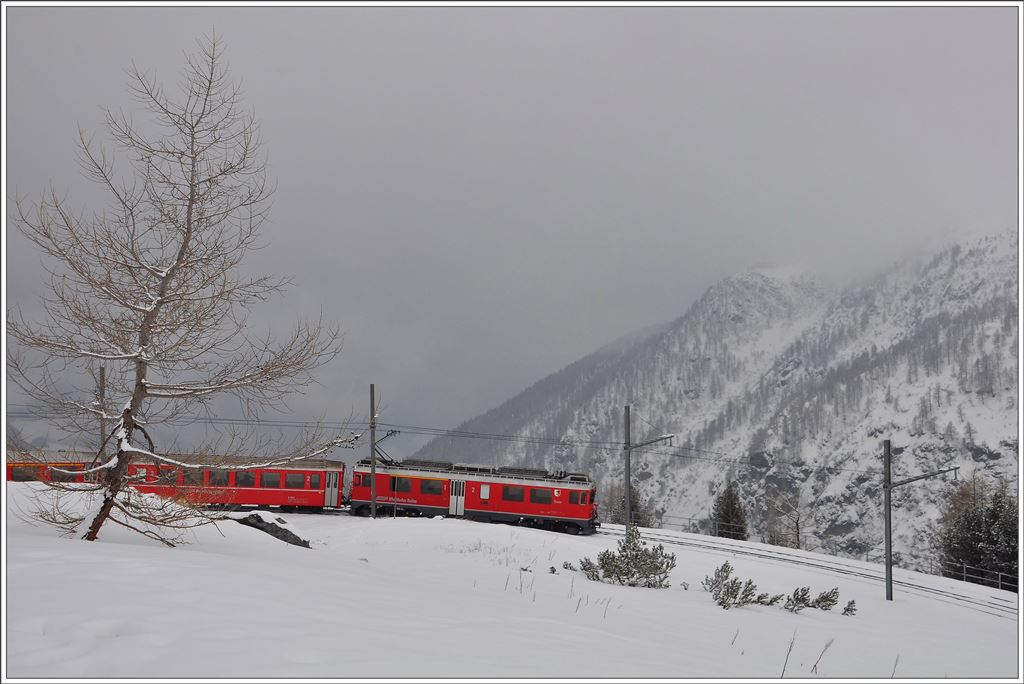 R1629 mit ABe 4/4 III 53  Tirano  in der Alp Grüm Kurve. (25.02.2016)