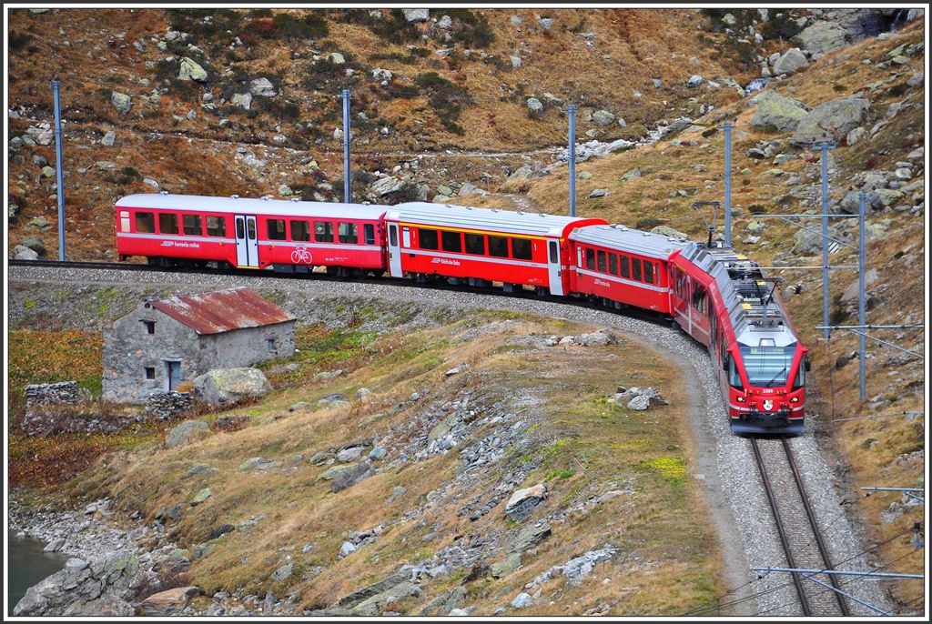R1633 mit ABe 8/12 3509schlängelt sich jetzt dem Lago Bianco entlang nach Ospizio Bernina. (07.10.2015) 