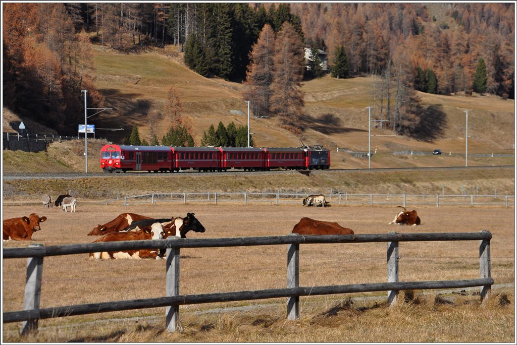 R1948 nach Scuol-Tarasp mit Ge 4/4 II 615  Klosters  zwischen Samedan und Bergün. (16.11.2015)
