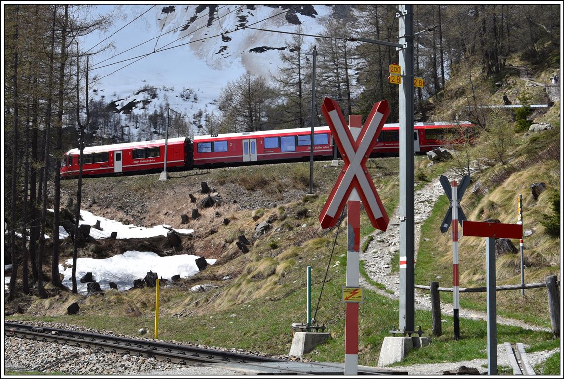 R4632 nach St.Moritz mit ABe 8/12 3511 nach der Kreuzungsstation Stablini zwischen Cavaglia und Alp Grüm. Man erkennt hier gut die enge Linienführung in der 70 Promille Steigung. Die roten Zahlen in den gelben Tafeln geben an wieviele Meter die Fräsen der neuen Schneeschleudern ausgefahren werden dürfen. (06.05.2020)