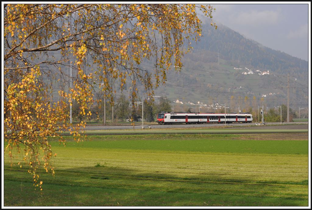 R7843 von Ziegelbrcke nach Chur bei Zizers. (15.11.20013)