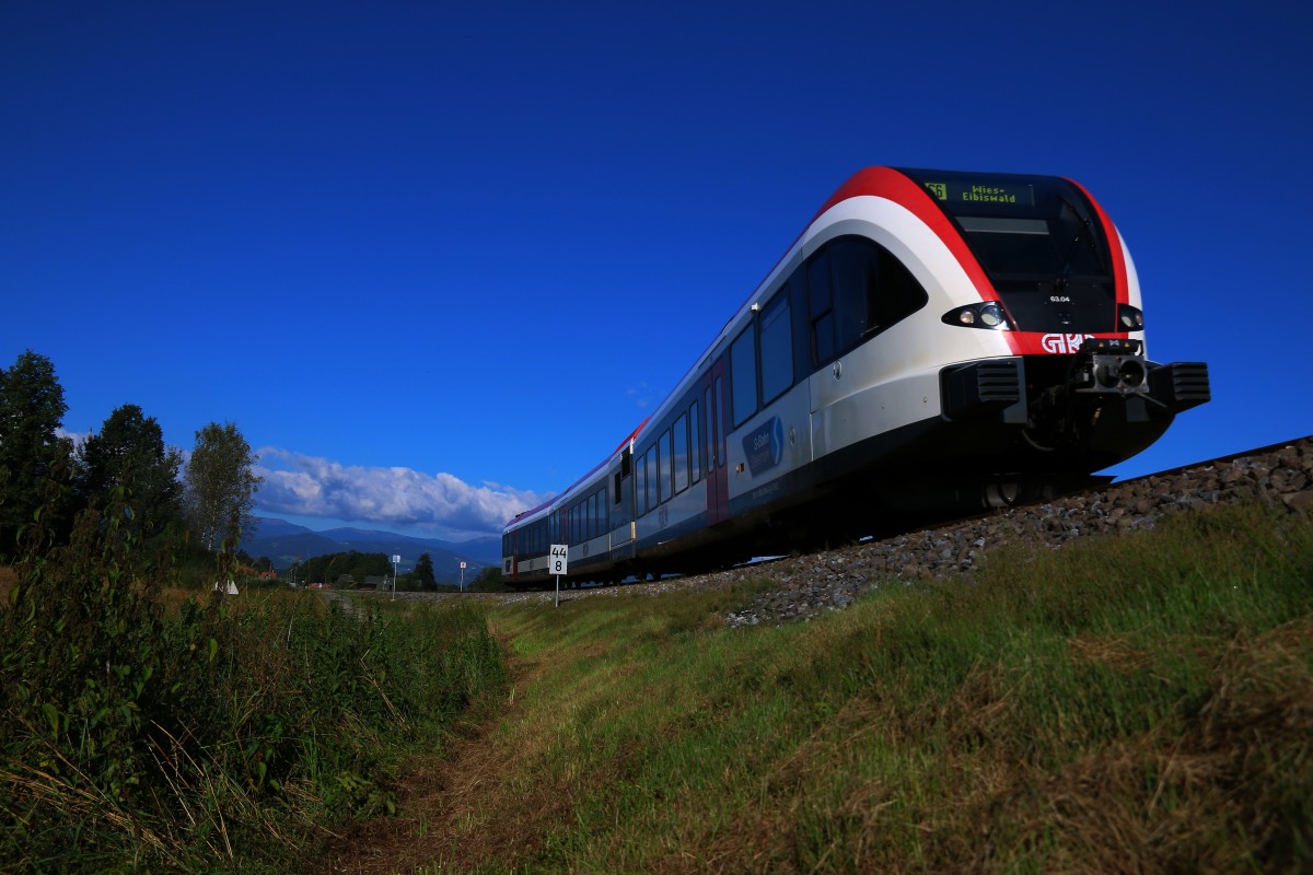 R8551 rollt zwischen Brennesseln und sonstigem Gemüse gen Pölfing Brunn. 21.09.2015