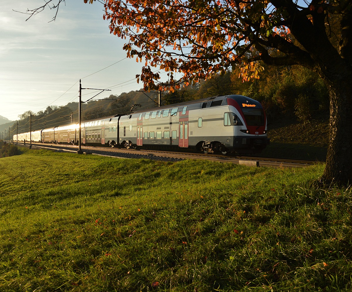 RABe 511 bei Umiken
30. Oktober 2014