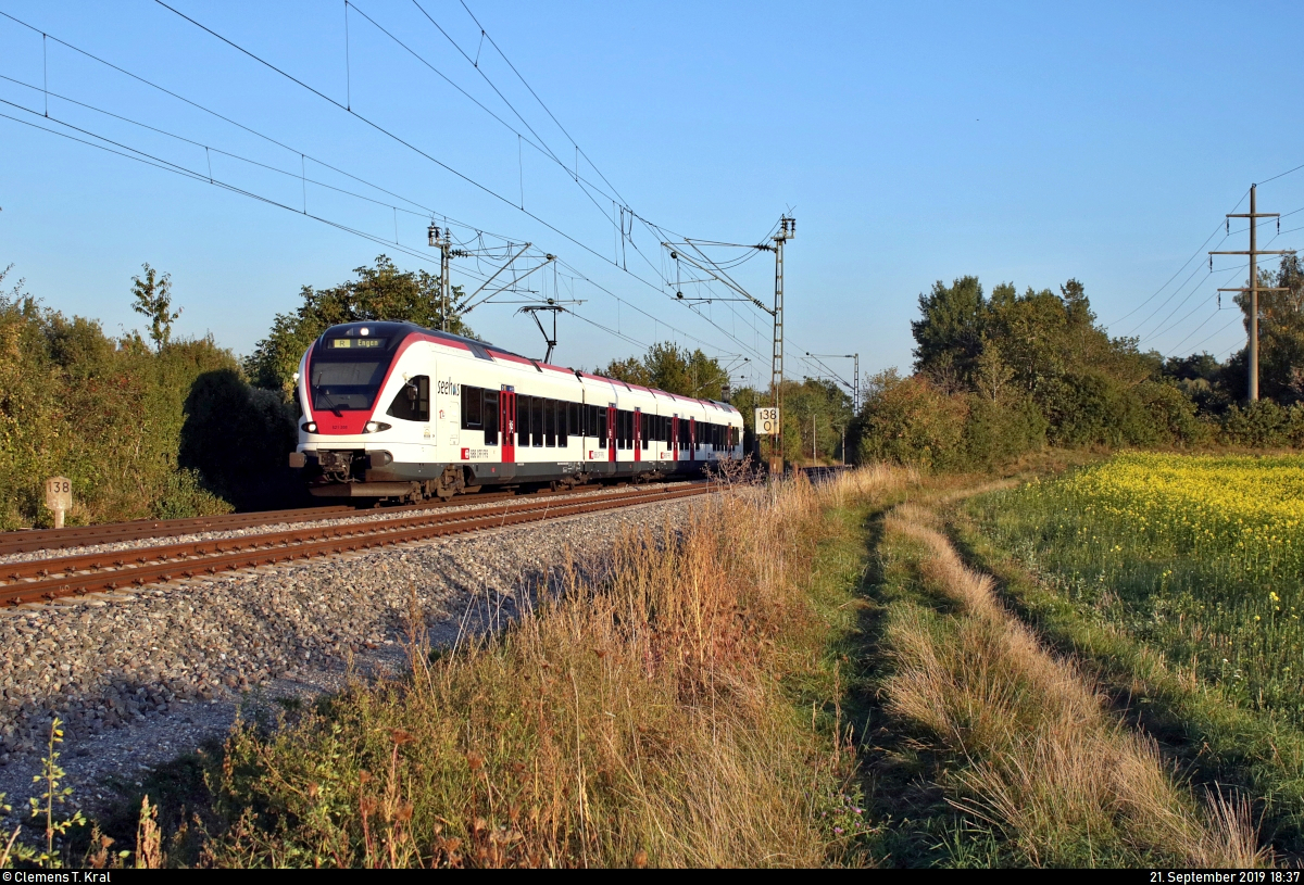 RABe 521 205 (Stadler FLIRT) der SBB GmbH (SBB) als SBB87704  Seehas  von Konstanz nach Engen fährt in Engen-Welschingen auf der Bahnstrecke Offenburg–Singen (Schwarzwaldbahn (Baden) | KBS 720).
[21.9.2019 | 18:37 Uhr]