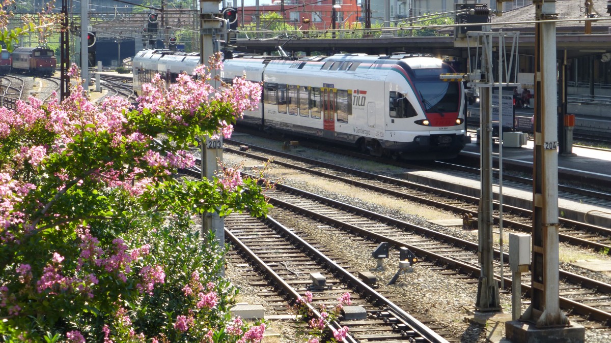 RABe 524 004 FLIRT beim Ankunft in Bellinzona (16-08-2012)
